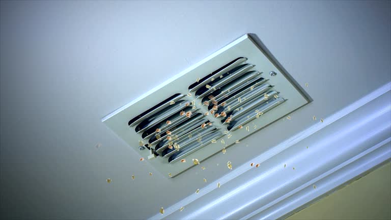 Best Dryer Vent Cleaning Services  in Rose Hills, CA