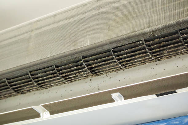 Best Residential Air Duct Cleaning  in Rose Hills, CA